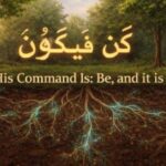 The Wood Wide Web: Signs Beneath Our Feet