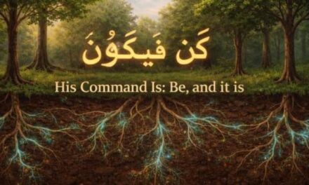 The Wood Wide Web: Signs Beneath Our Feet