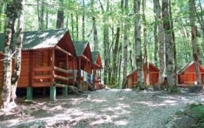 Choosing the Right Summer Camp: An Islamic Guide for Muslim Parents