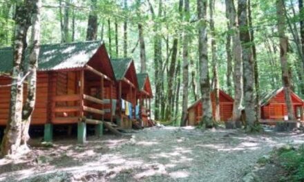 Choosing the Right Summer Camp: An Islamic Guide for Muslim Parents