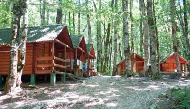 Choosing the Right Summer Camp: An Islamic Guide for Muslim Parents