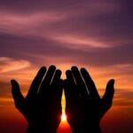 Strength With Mercy: The Seerah and the Honor of Horses