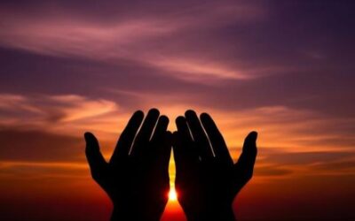 Strength With Mercy: The Seerah and the Honor of Horses
