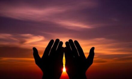 Strength With Mercy: The Seerah and the Honor of Horses