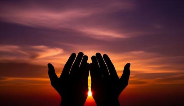 Strength With Mercy: The Seerah and the Honor of Horses