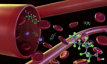 PFAS leave fingerprints in your blood – researchers are figuring out how forever chemicals transform in your body to read these clues