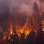 Heat waves increase wildfire risk – a new study explains just how much
