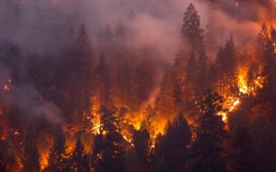 Heat waves increase wildfire risk – a new study explains just how much