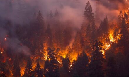Heat waves increase wildfire risk – a new study explains just how much