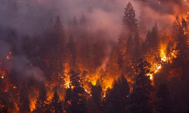 Heat waves increase wildfire risk – a new study explains just how much