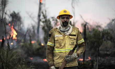 We launched a war on nature. Now we are in a climate war zone