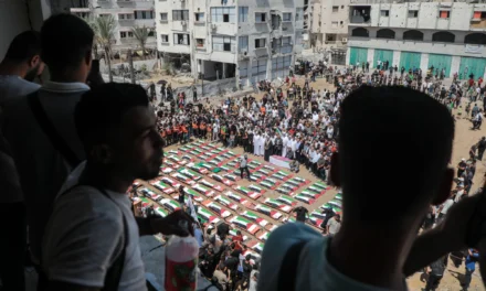 Israel clears evidence of Gaza genocide, rights group says